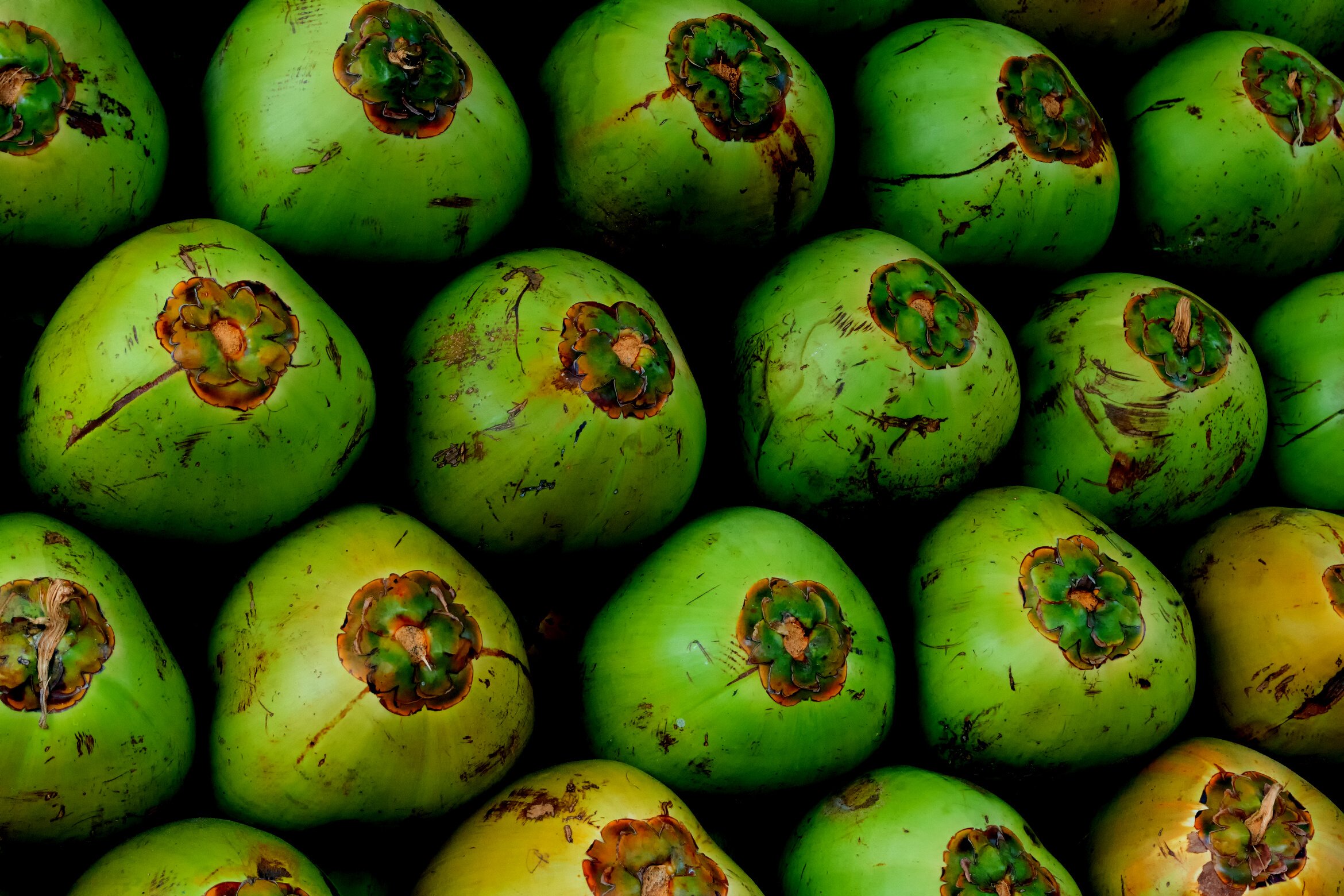 Green coconuts, India